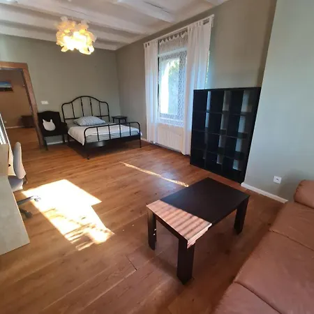 Guest In Private By Airport, Shared Bath, Non-smoking, Contactless Check-in, No Staff, Quiet Stay, Short דירה Tuchomerice