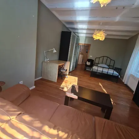 Guest In Private By Airport, Shared Bath, Non-smoking, Contactless Check-in, No Staff, Quiet Stay, Short דירה Tuchomerice