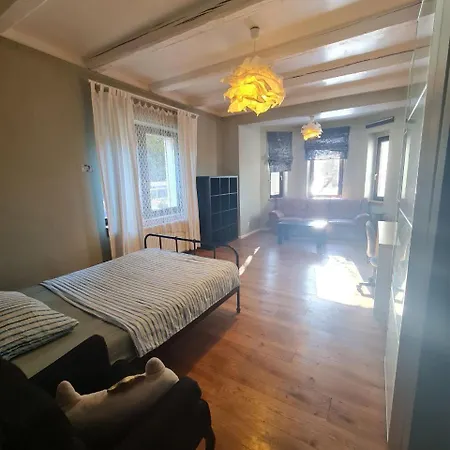 Guest In Private By Airport, Shared Bath, Non-smoking, Contactless Check-in, No Staff, Quiet Stay, Short Apartament Tuchomerice