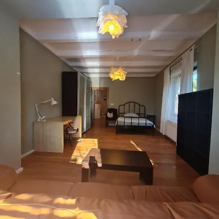 Guest In Private By Airport, Shared Bath, Non-smoking, Contactless Check-in, No Staff, Quiet Stay, Short *