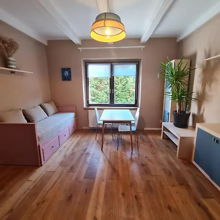 Guest In Private By Airport, Shared Bath, Non-smoking, Contactless Check-in, No Staff, Quiet Stay, Short Tuchomerice