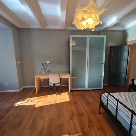 Guest In Private By Airport, Shared Bath, Non-smoking, Contactless Check-in, No Staff, Quiet Stay, Short דירה Tuchomerice