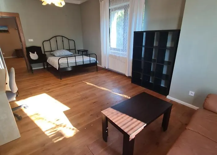 Guest In Private By Airport, Shared Bath, Non-smoking, Contactless Check-in, No Staff, Quiet Stay, Short Apartamento Tuchomerice