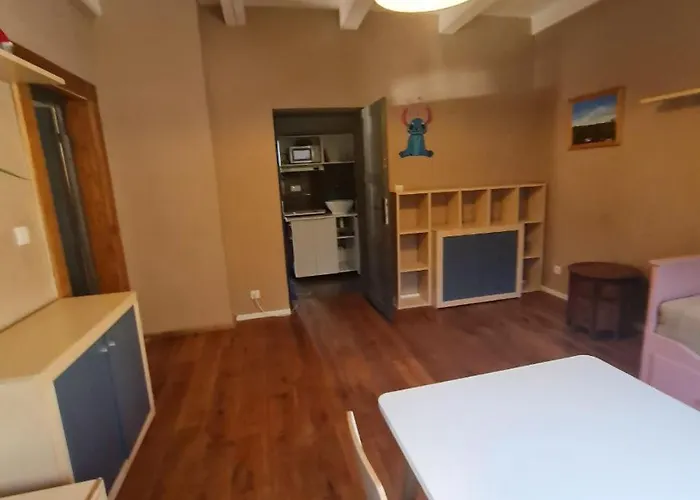 Guest In Private By Airport, Shared Bath, Non-smoking, Contactless Check-in, No Staff, Quiet Stay, Short Tuchomerice