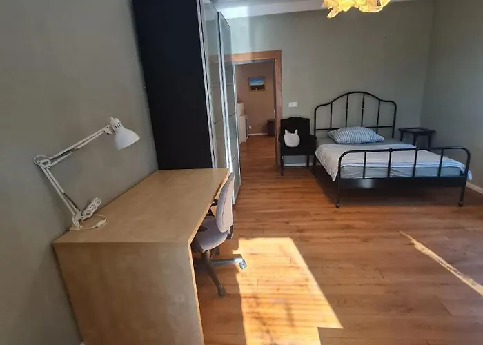 Guest In Private By Airport, Shared Bath, Non-smoking, Contactless Check-in, No Staff, Quiet Stay, Short * Tuchomerice